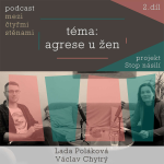 Obrázek epizody "Pro ženy může být těžké si agresi přiznat. Jdou proti ideálu ženskosti." Terapeuti hovoří o násilí u žen.