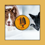 Obrázek epizody Podcast s profesionální fotografkou psů Anetou Jungerovou