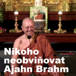 Obrázek epizody Nikoho neobviňovat | Ajahn Brahm | 15.11.2019
