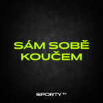 Obrázek epizody Sám sobě koučem #1