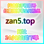 Obrázek epizody 自助涨粉全平台数据工坊:揭秘如何快速提高视频播放量和互动?