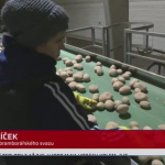 Obrázek epizody Zemědělci mají přebytek brambor